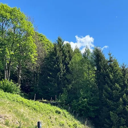 11er Kogel Apartment Stuhlfelden